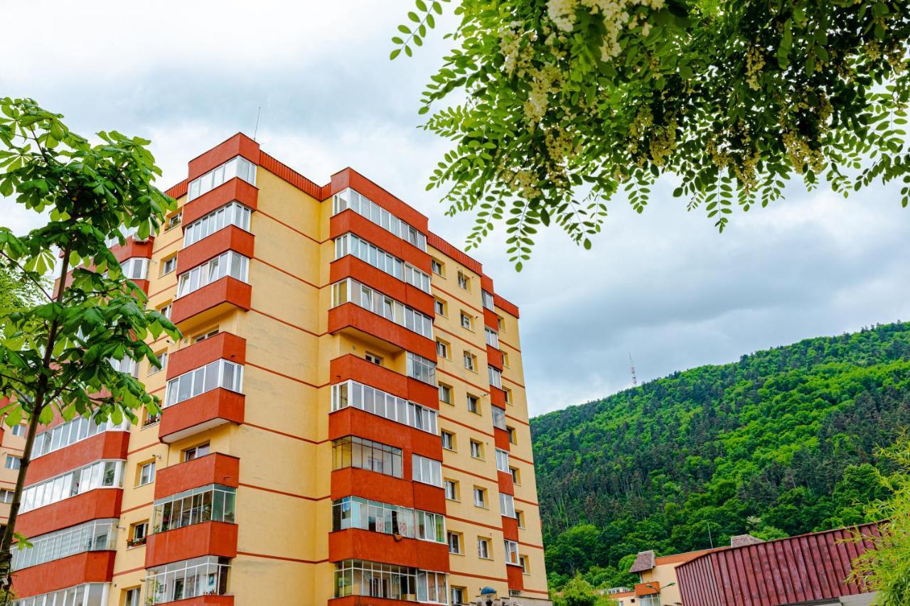 Mid-Term Rental Racadau Apartment Braşov Eksteriør billede